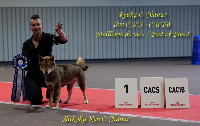 shikoku ken o chanur shikoku ken o chanur