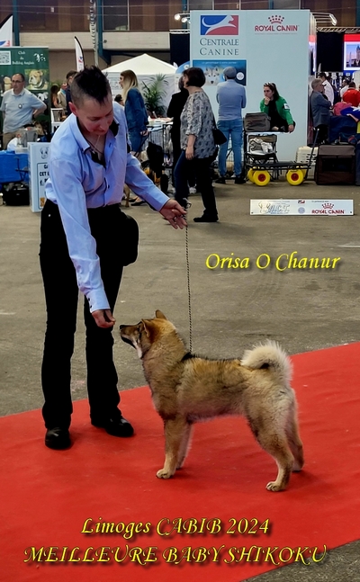 shikoku ken o chanur