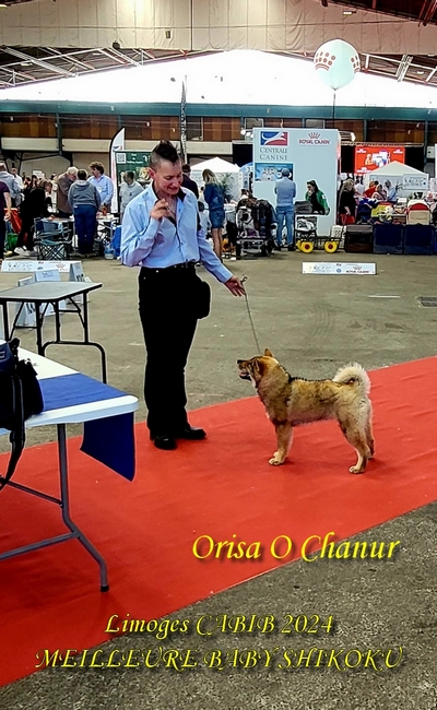 shikoku ken o chanur shikoku ken o chanur