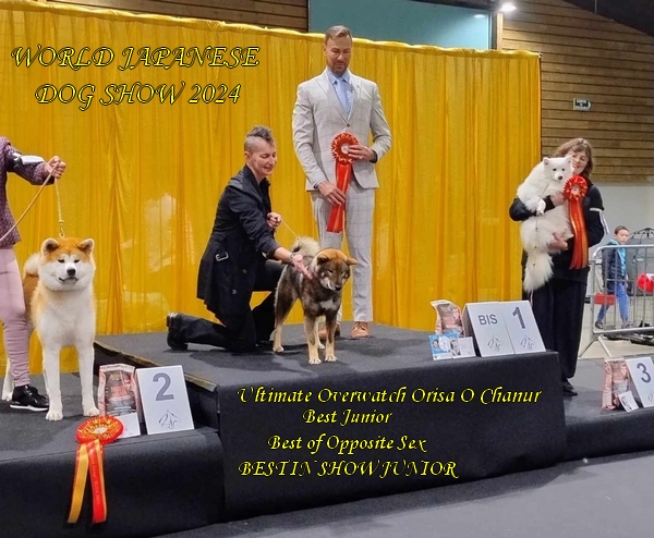 shikoku ken o chanur shikoku ken o chanur