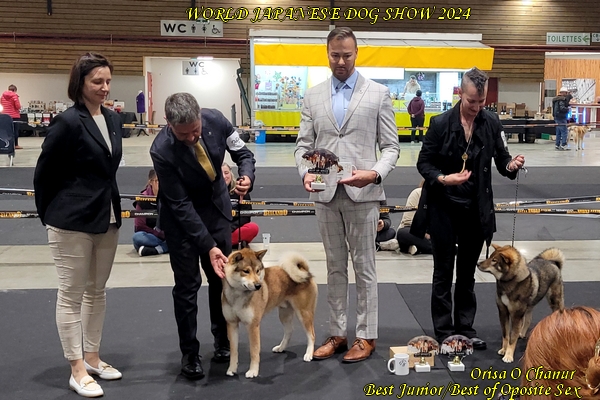 shikoku ken o chanur shikoku ken o chanur